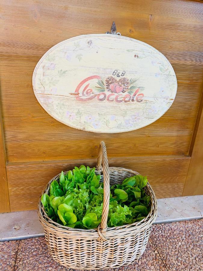 B&B Le Coccole Molveno Zewnętrze zdjęcie